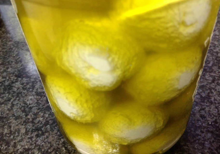 Labaneh balls in olive oil
