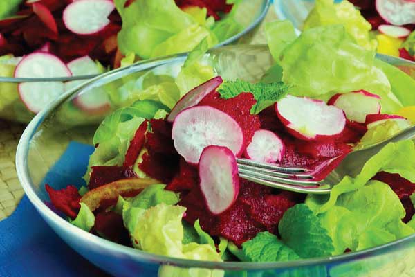 radish-salad-pic