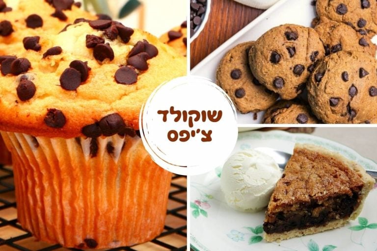 chocolate-chips-recipes